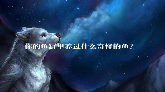 你的鱼缸里养过什么奇怪的鱼？