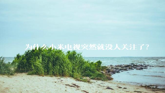 为什么小米电视突然就没人关注了？